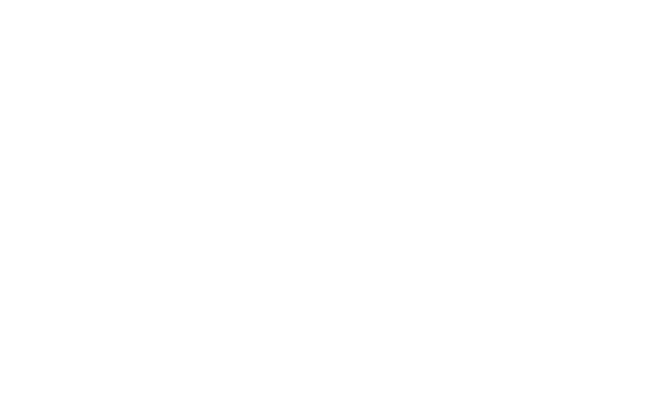 Essedicom